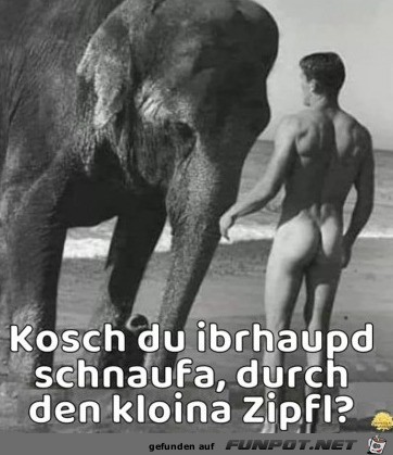 Gute Frage