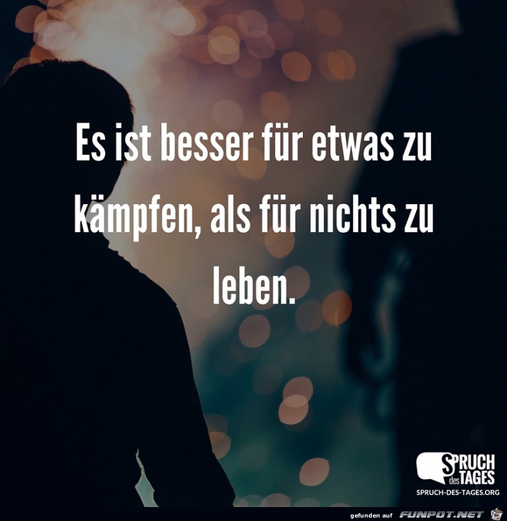 es-ist-besser-fuer-etwas-zu-kaempfen-als-fuer-nichts-zu-lebe