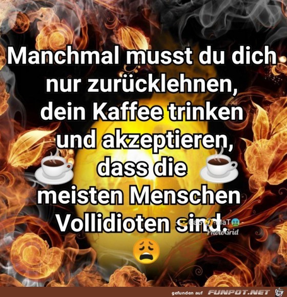Vollidioten Vollidioten
