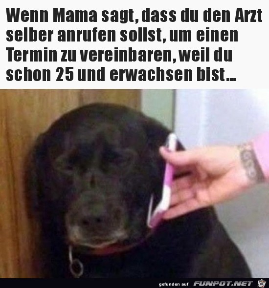 Ich will aber nicht Ich will aber nicht
