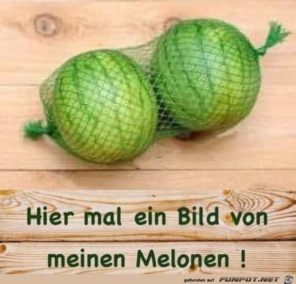 Meine Melonen Meine Melonen