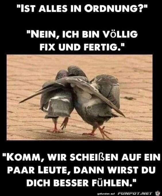 Toller Plan Toller Plan