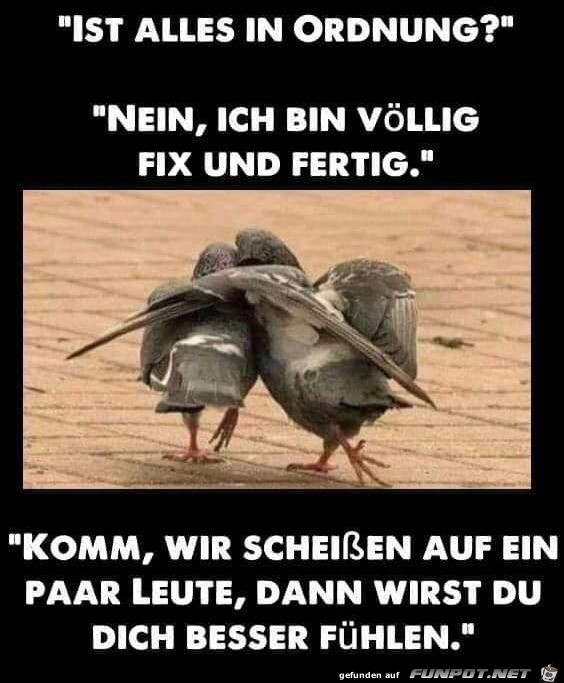 Toller Plan