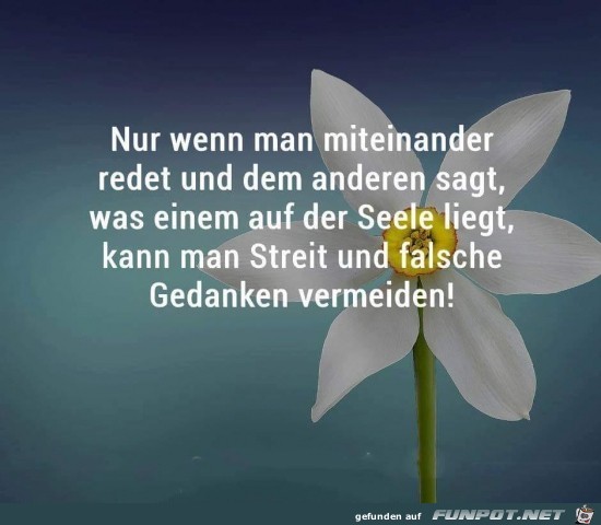 So einfach ist das