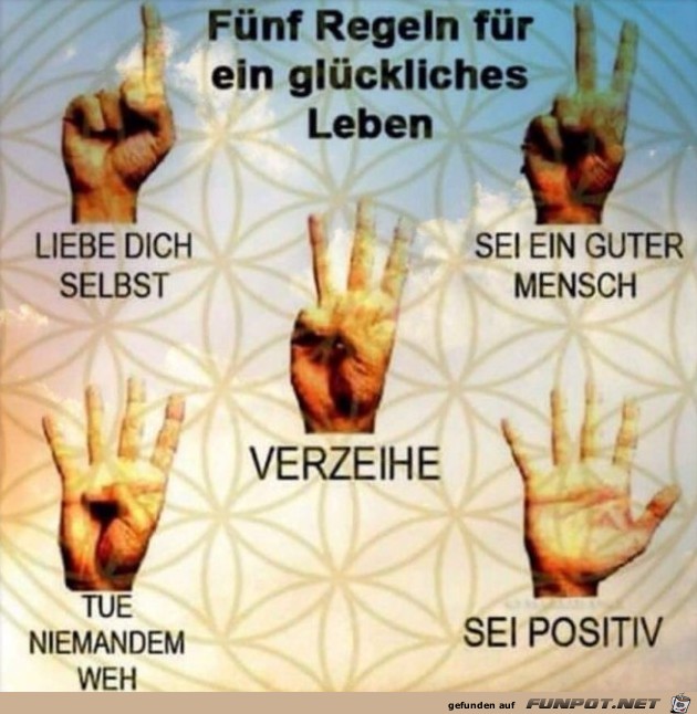 Fünf Regeln Fünf Regeln