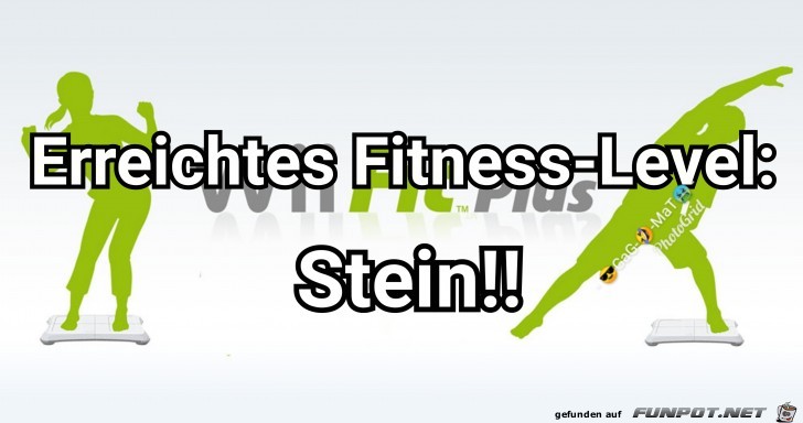 Stein Stein