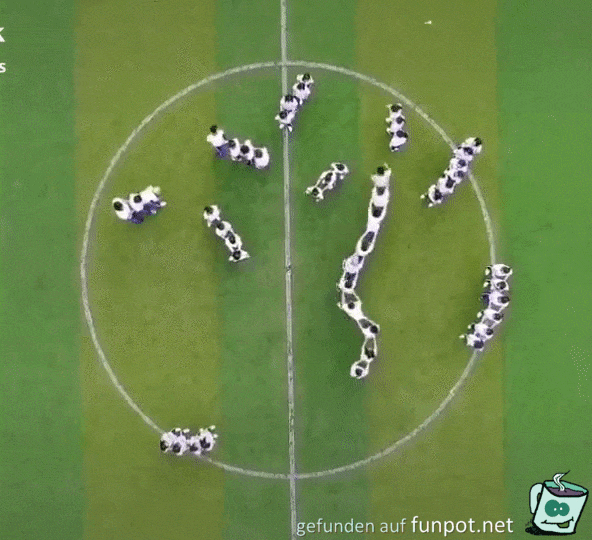 Sportlich 266 Sportlich 266
