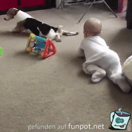 Um die Wette krabbeln Um die Wette krabbeln