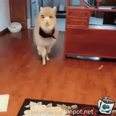 Ist ja knuffig Ist ja knuffig