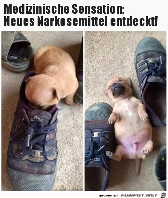 Neues Narkosemittel Neues Narkosemittel