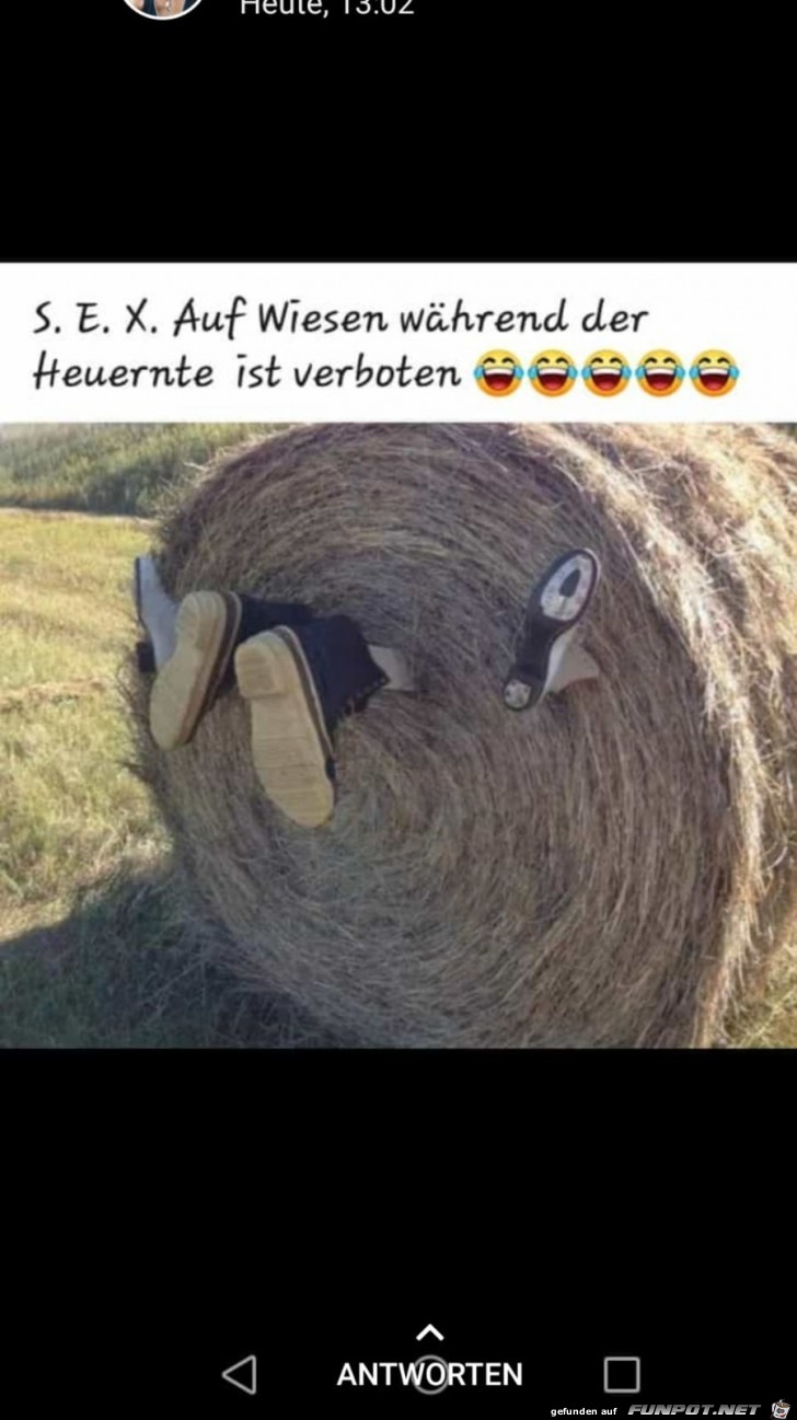 Sex Sex