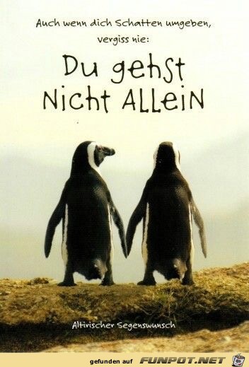 auch wen dich schatten umgeben auch wen dich schatten umgeben