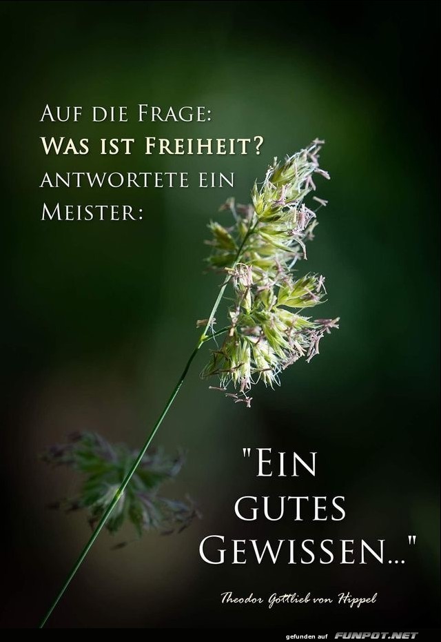10 schöne Sprüche und Lebensweisheiten aus... 10 schöne Sprüche und Lebensweisheiten aus...