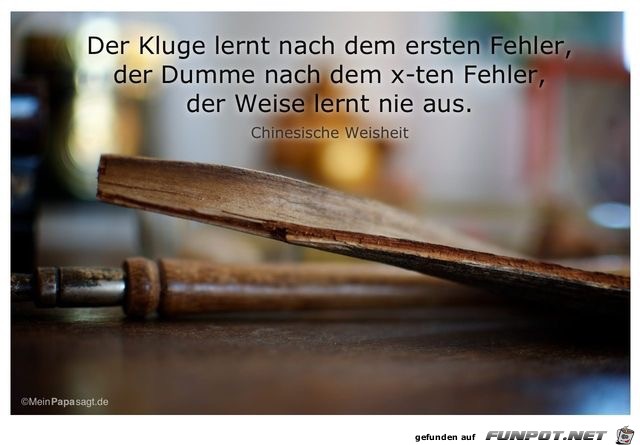der Kluge lernt nach dem ersten fehler der Kluge lernt nach dem ersten fehler