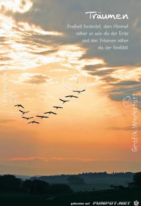 Freiheit bedeutet Freiheit bedeutet