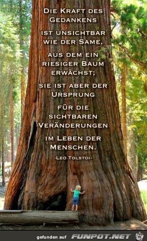 die Kraft der Gedanken die Kraft der Gedanken