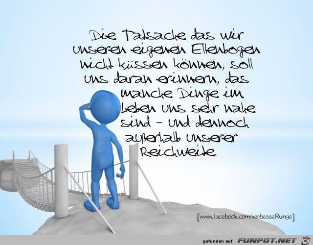 die Tatsache die Tatsache