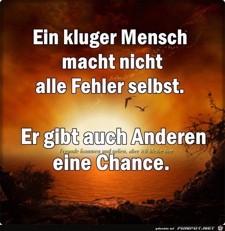 ein kluger mensch ein kluger mensch