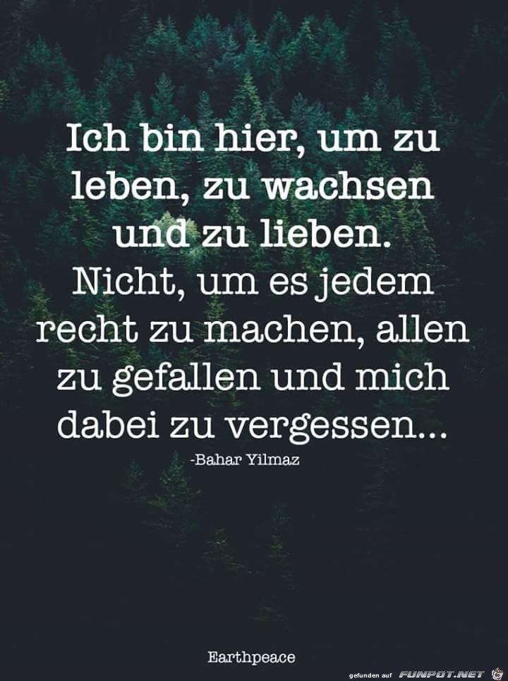ich bin hier ich bin hier