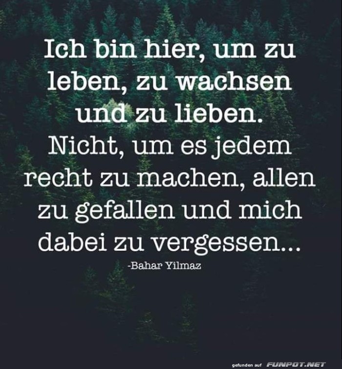 10 sch�ne Spr�che und Lebensweisheiten aus...