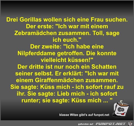 Drei Gorillas wollen sich eine Frau suchen Drei Gorillas wollen sich eine Frau suchen