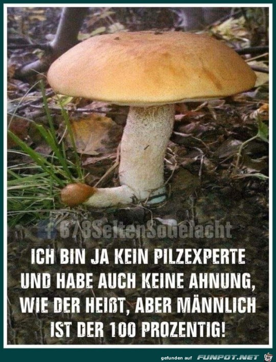 Pilzexperte