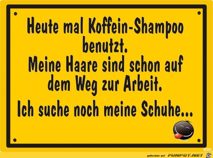 Schild Shampoo