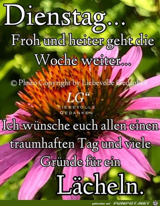 Dienstag Dienstag