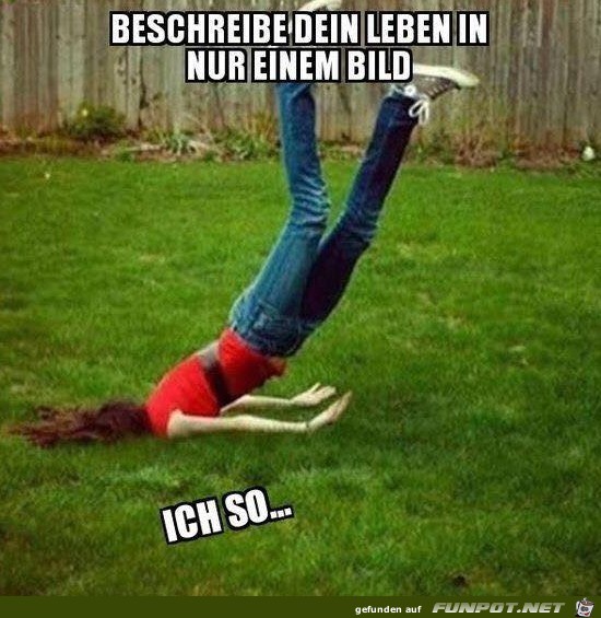 Dein Leben in einem Bild Dein Leben in einem Bild
