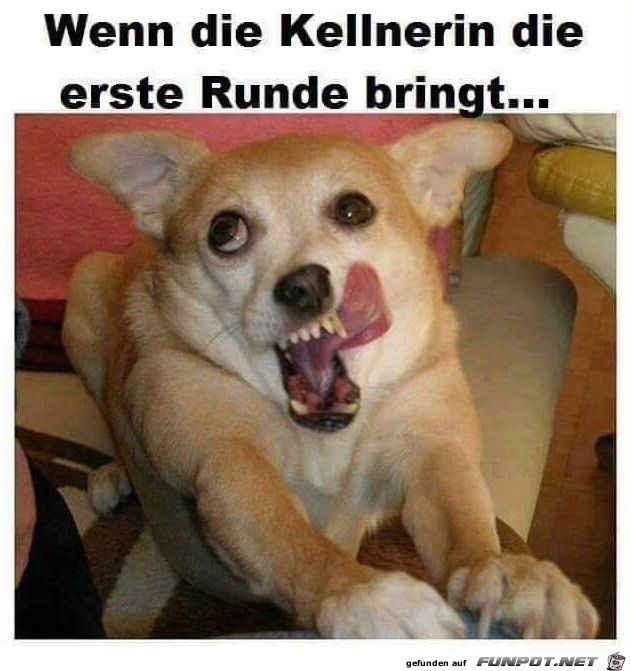 Endlich was Flüssiges Endlich was Flüssiges