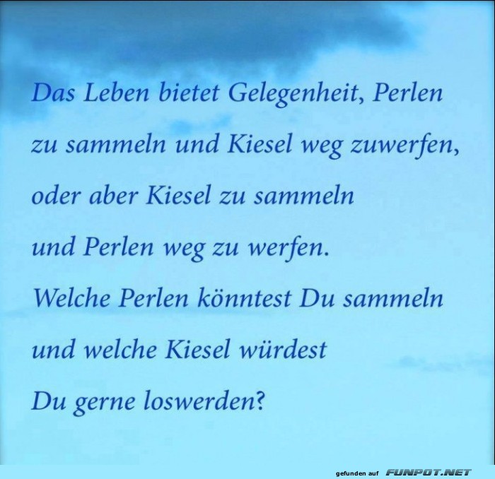 10 sch�ne Spr�che und Lebensweisheiten aus...