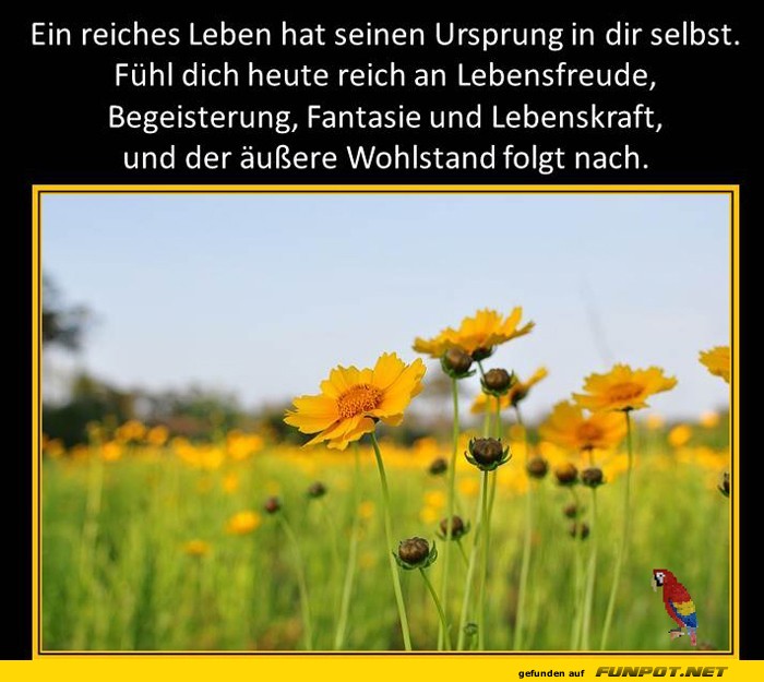 Ein reiches Leben Ein reiches Leben