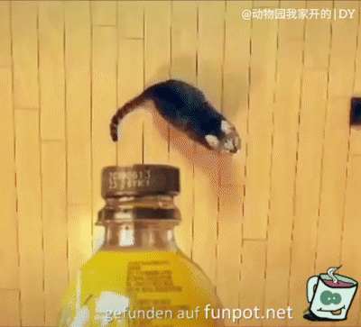 BottleCapChallenge-23- BottleCapChallenge-23-