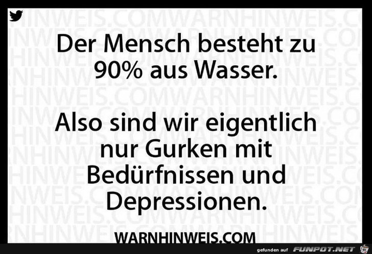 Der Mensch Der Mensch