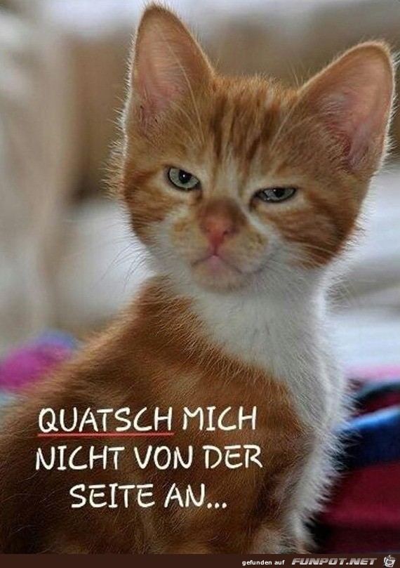 Ruhe Ruhe