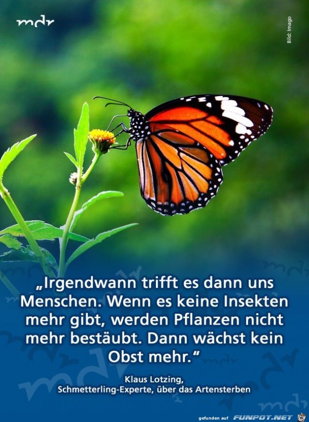 irgendwann trifft es dann irgendwann trifft es dann