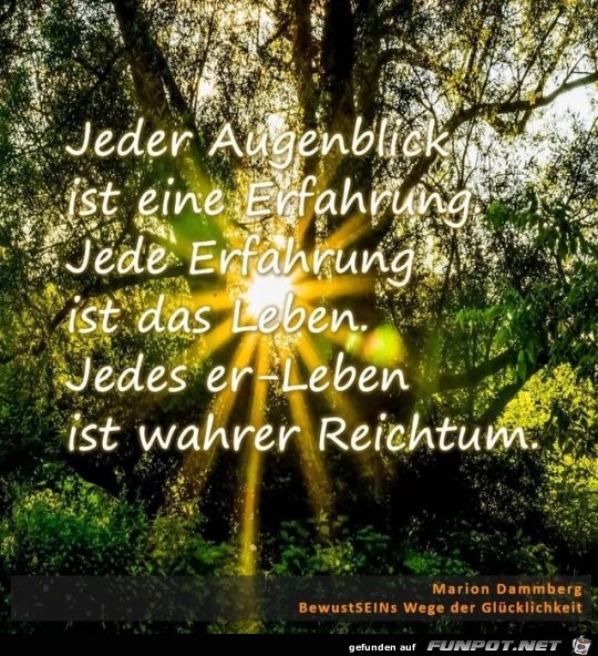 jeder augenblick ist eine erfahrung jeder augenblick ist eine erfahrung