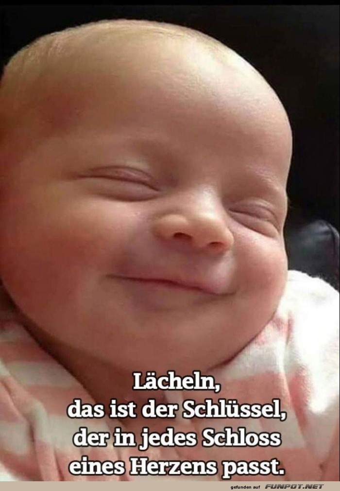 10 sch�ne Spr�che und Lebensweisheiten aus...