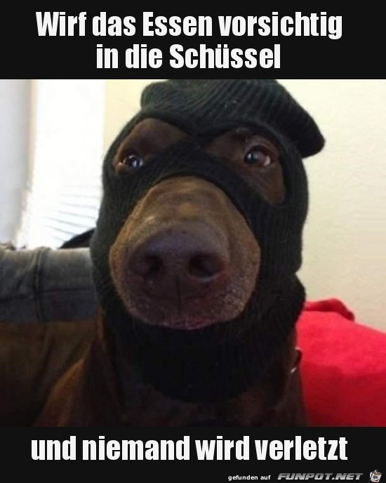 Aber zackig Aber zackig