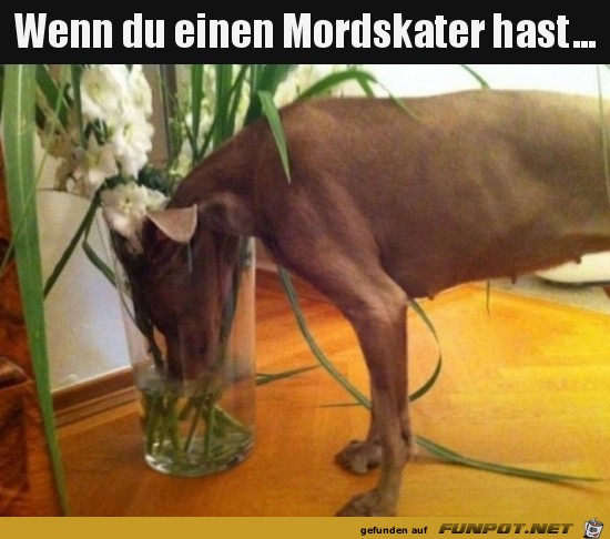 Puh schmeckt das komisch Puh schmeckt das komisch