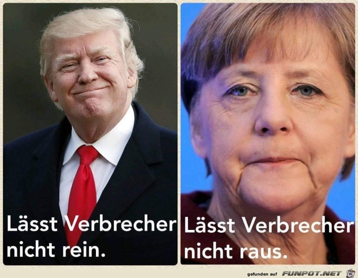 Politik Politik