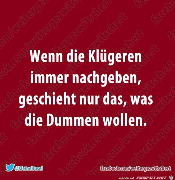 Der Klügere sollte nicht immer nachgeben Der Klügere sollte nicht immer nachgeben