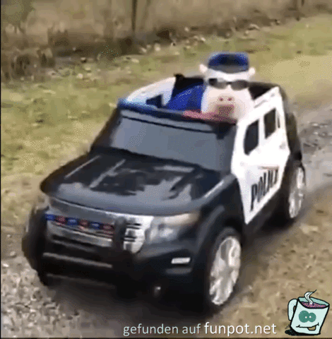 Schweine Polizei