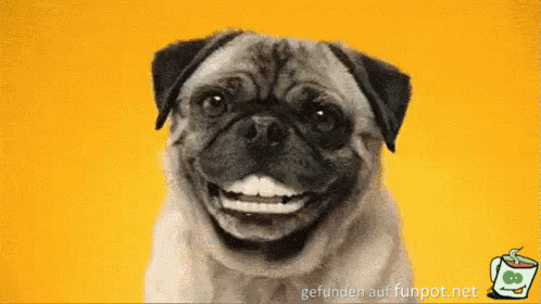 Grins Grins