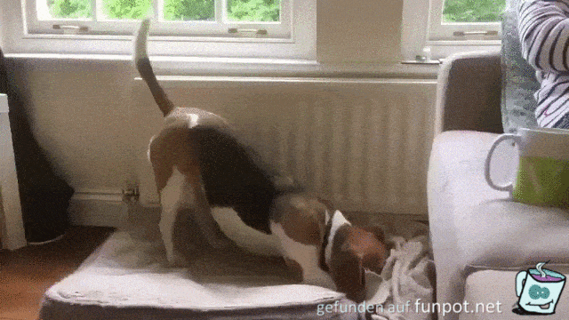 Meine Decke Meine Decke