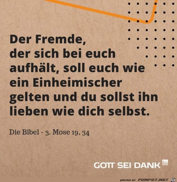der fremde der fremde