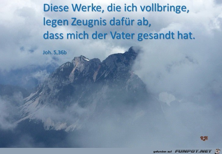 diese werte diese werte