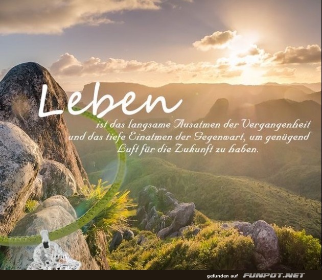 10 sch�ne Spr�che und Lebensweisheiten aus...