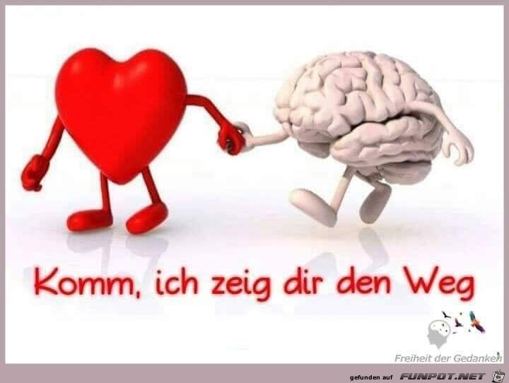 komm ich zeig dir den weg komm ich zeig dir den weg