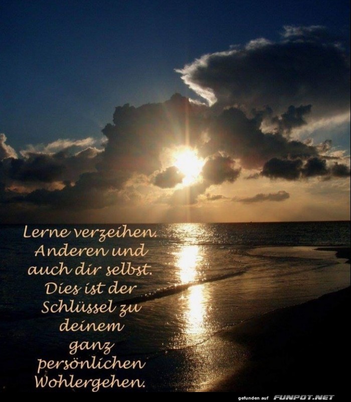 10 sch�ne Spr�che und Lebensweisheiten aus...
